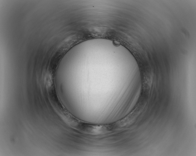 X0000111920130200908101229