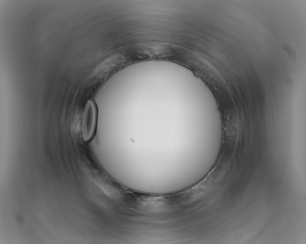 X0000111920132200908101229