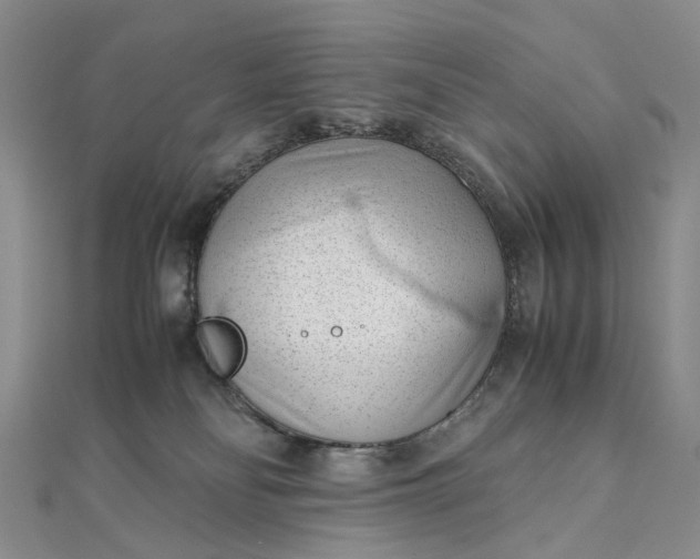 X0000111920134200908101229