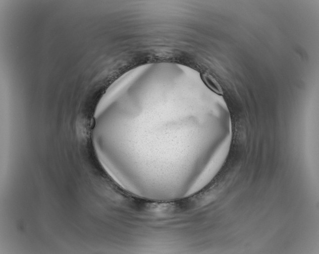 X0000111920135200908101229