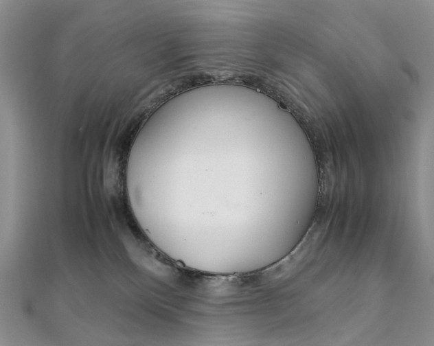 X0000111920136200908101229