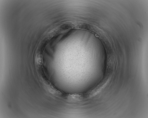 X0000111920137200908101229