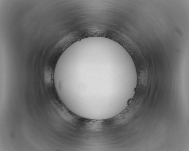 X0000111920138200908101229