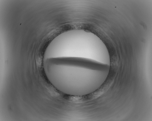 X0000111920139200908101229