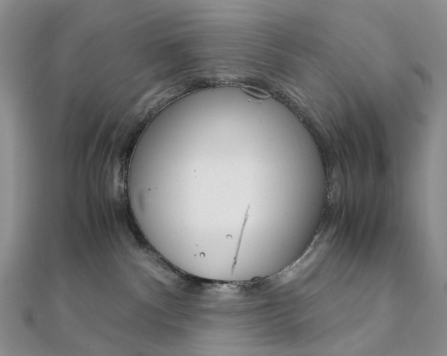 X0000111920140200908101229