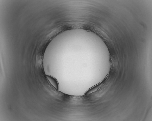 X0000111920141200908101229