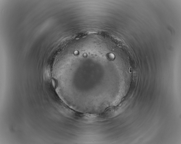 X0000111920143200908101229