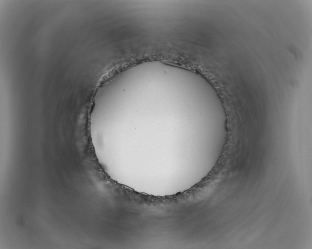 X0000111920144200908101229