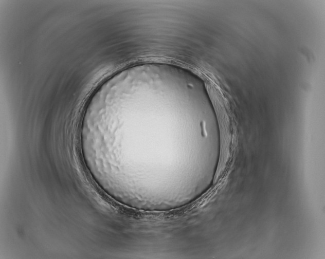 X0000111920145200908101228