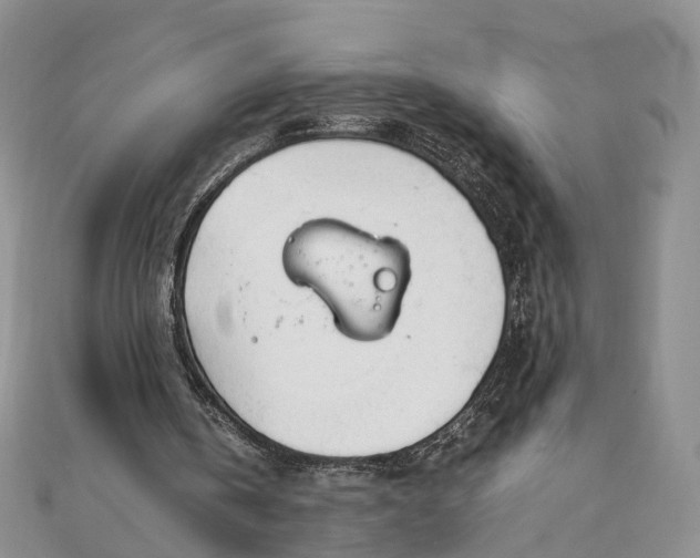 X0000111920146200908101228