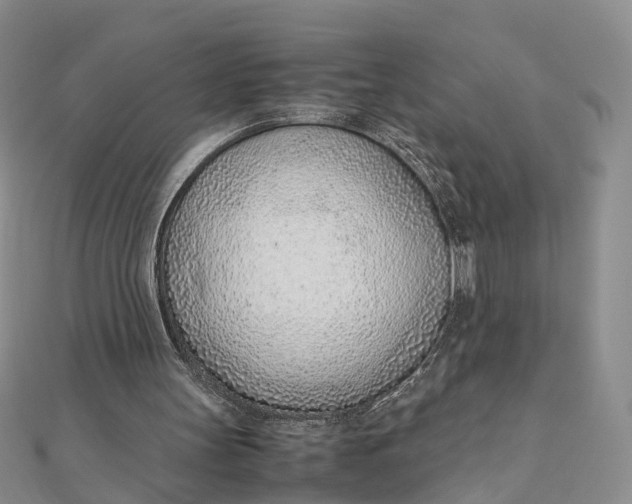 X0000111920147200908101228