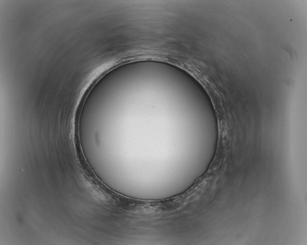 X0000111920148200908101228