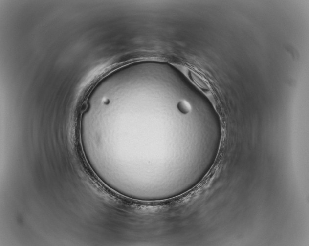 X0000111920149200908101228