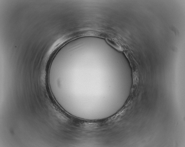 X0000111920150200908101228