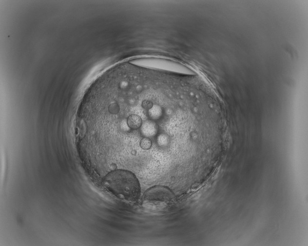 X0000111920151200908101228