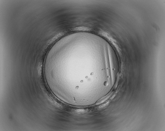 X0000111920153200908101228