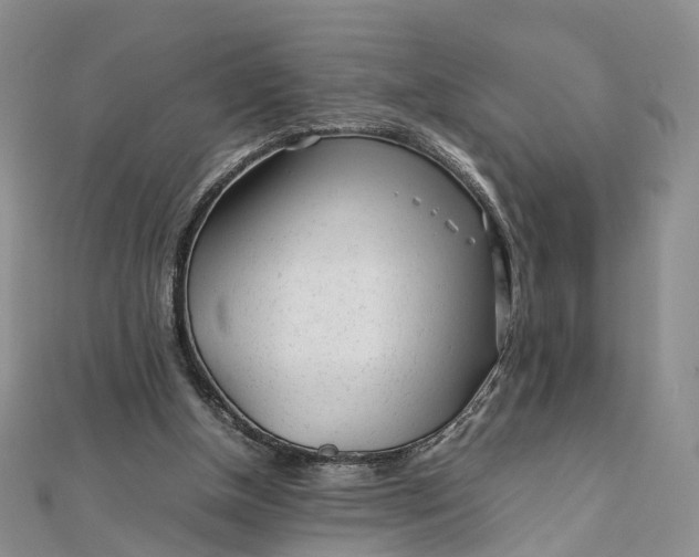 X0000111920154200908101228