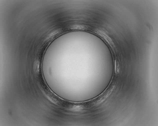 X0000111920157200908101228