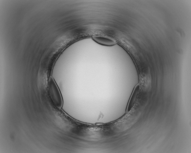 X0000111920158200908101228