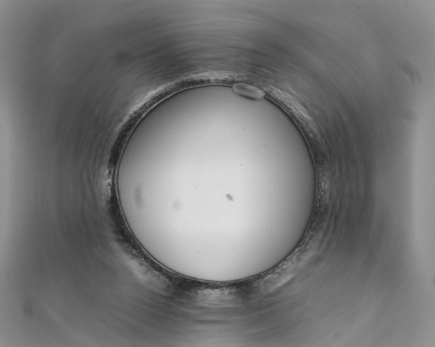 X0000111920160200908101228