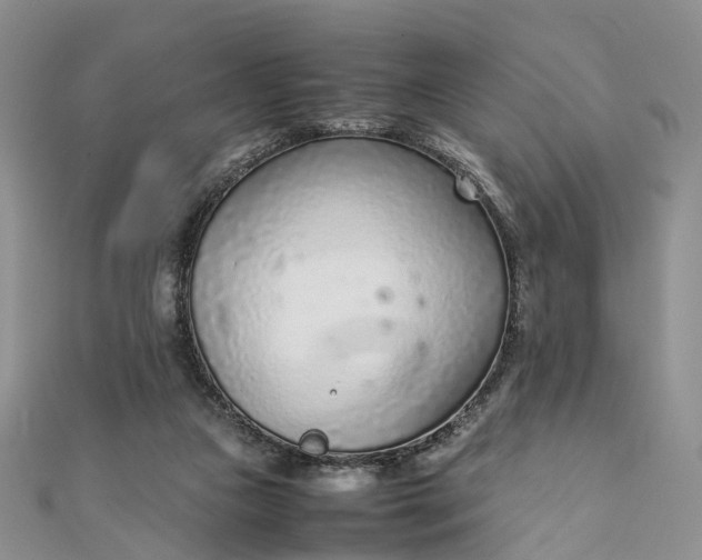 X0000111920161200908101228