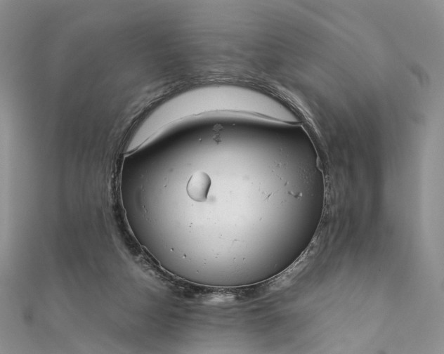 X0000111920162200908101228