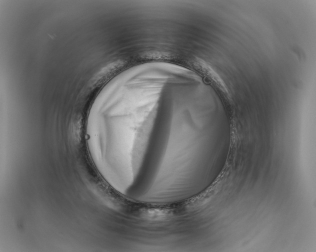 X0000111920163200908101228