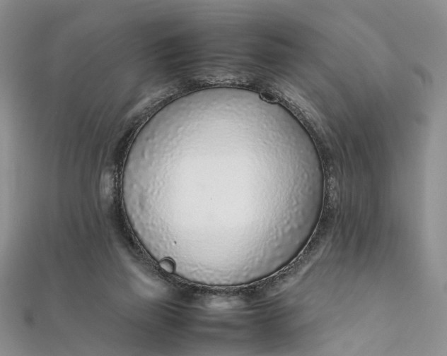 X0000111920165200908101228