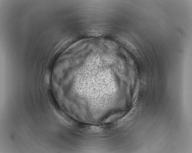 X0000111920166200908101228