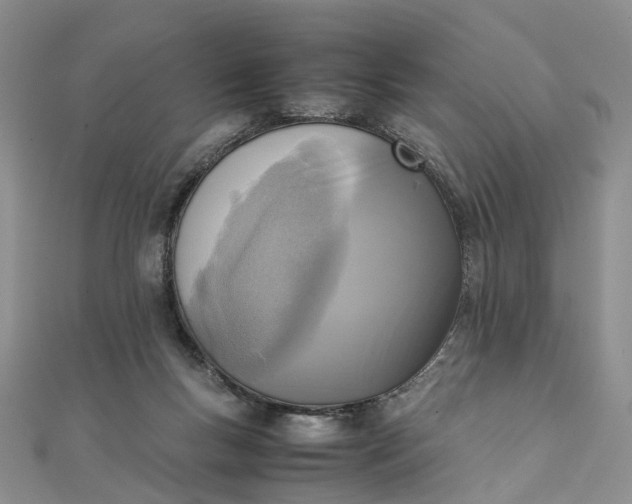 X0000111920167200908101228