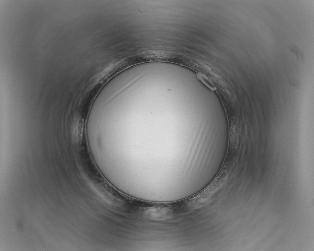 X0000111920168200908101228