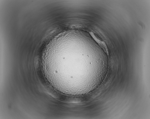 X0000111920169200908101228