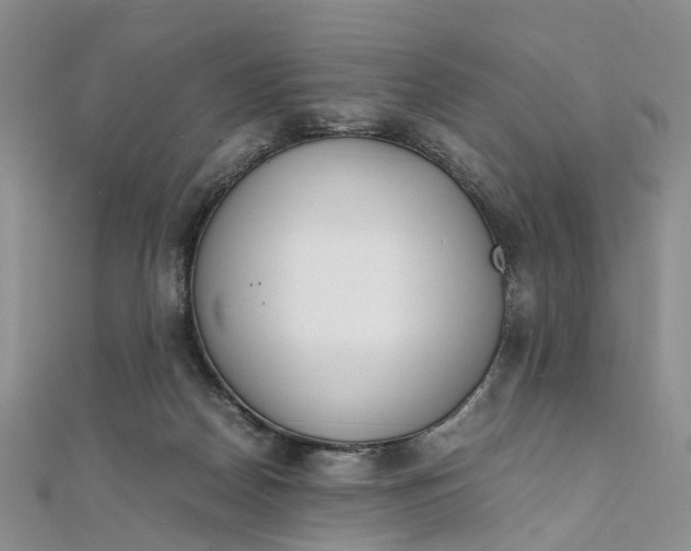 X0000111920170200908101229