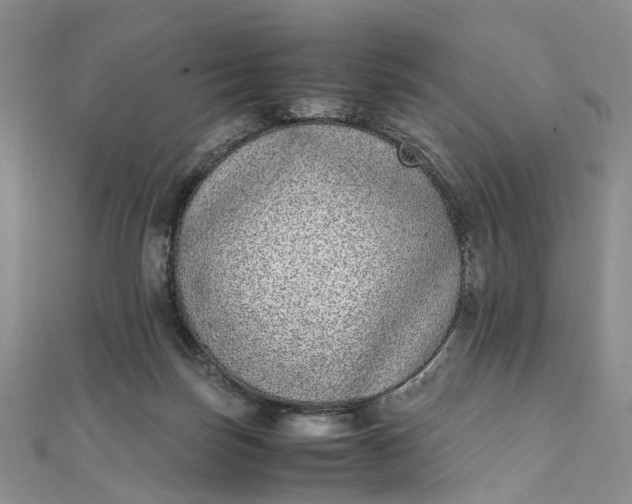 X0000111920171200908101229