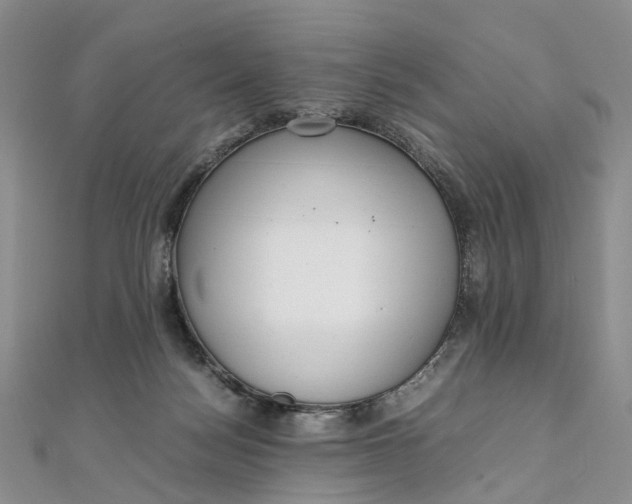 X0000111920172200908101229