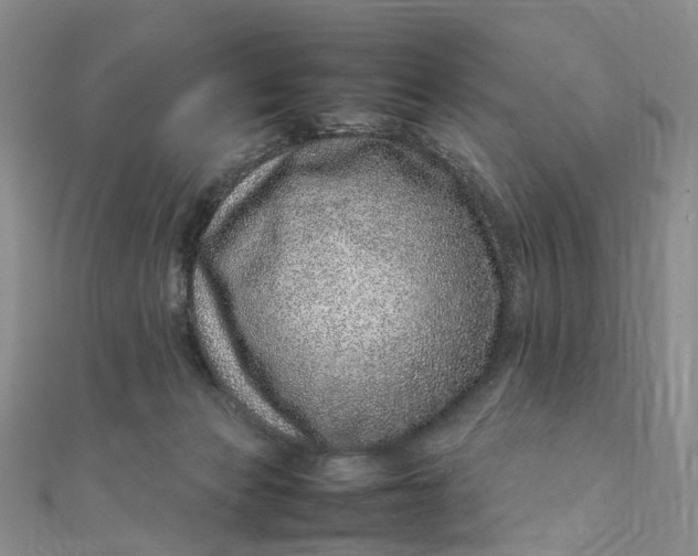 X0000111920173200908101229