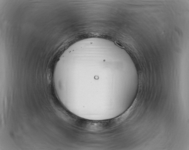 X0000111920174200908101229