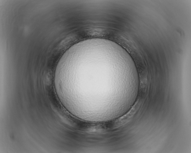 X0000111920175200908101229