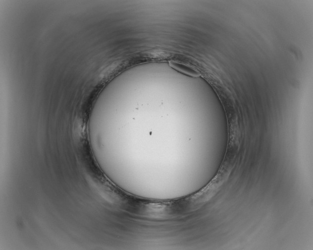 X0000111920176200908101229