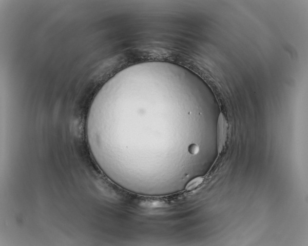 X0000111920177200908101229