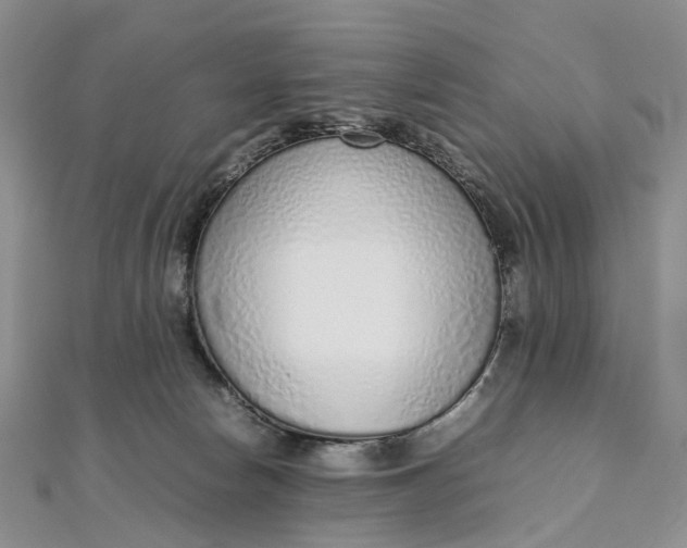 X0000111920178200908101229