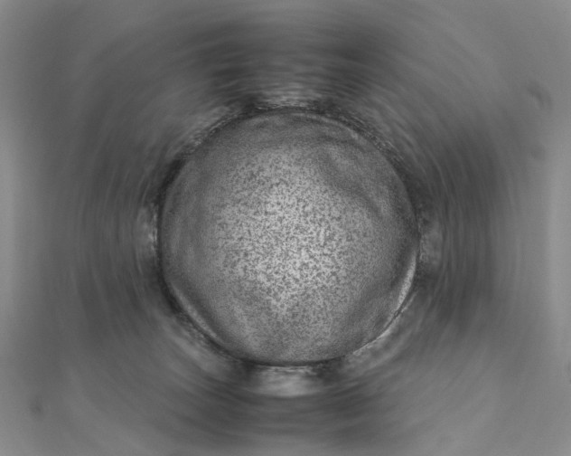 X0000111920179200908101229