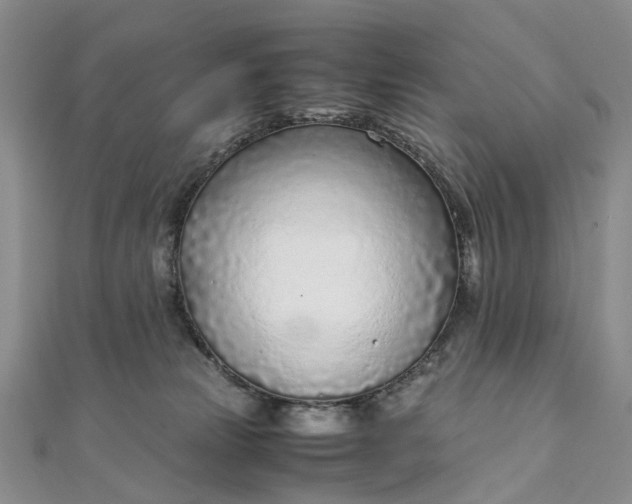 X0000111920181200908101229