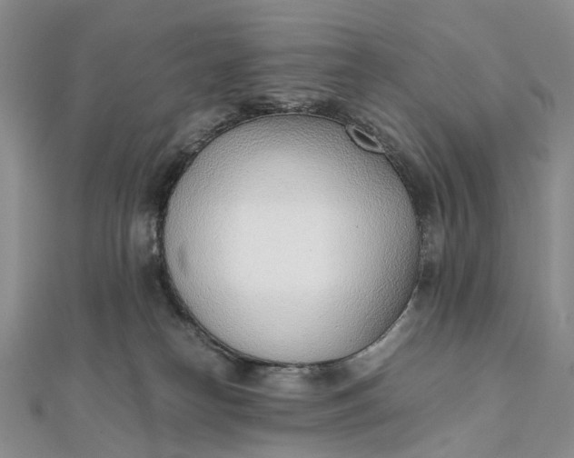 X0000111920182200908101229