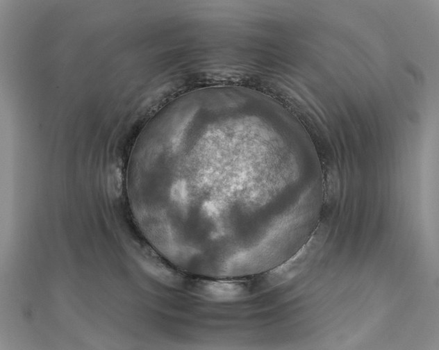 X0000111920183200908101229