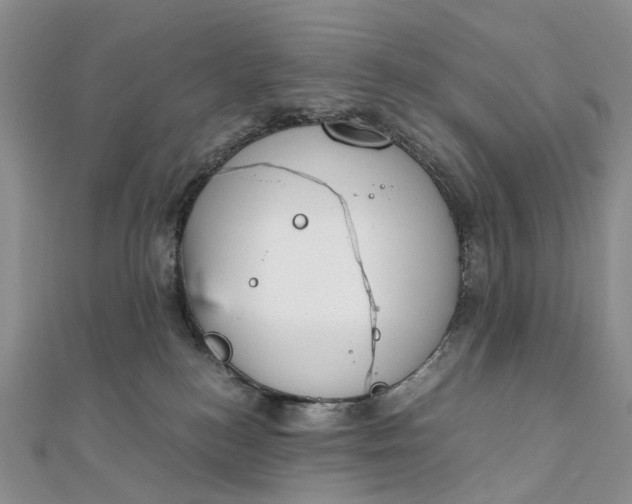 X0000111920184200908101229