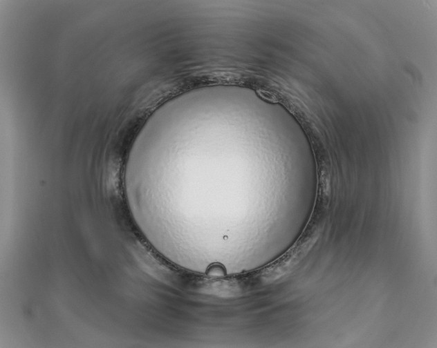 X0000111920185200908101229