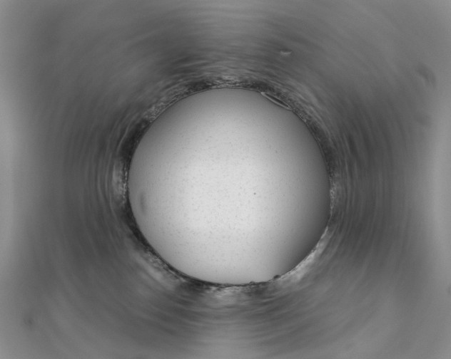 X0000111920186200908101229