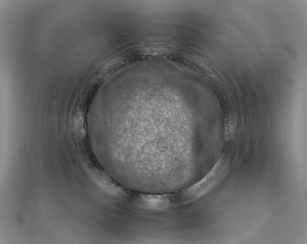 X0000111920187200908101229