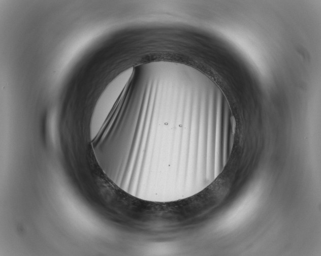 X0000111920189200908101229